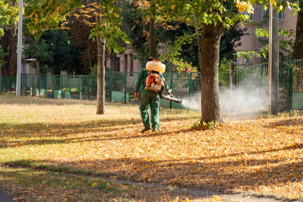 Professional Pest Control in Peosta, IA